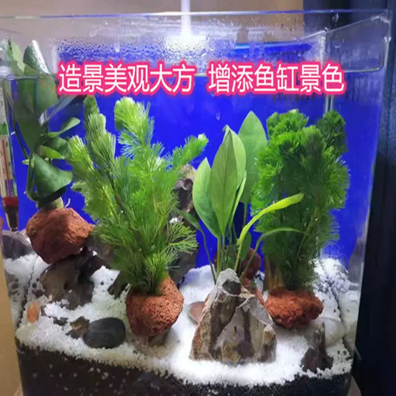 水草固定神定沉底環定植環魚缸水草固h器底定