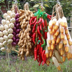 Simulated Fruits and Vegetables, Simulated Corn, Red Pepper, Garlic Skewers, Fake Peanut Pendants, Farmhouse Restaurant Decoration Props