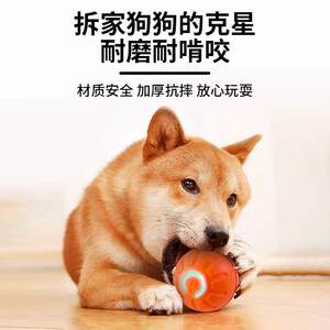 
Inducing jumping dog to play HL52 ball, wear-resistant, edge-biting, animal husbandry cat pet toy ball artifact, electric and automatic
