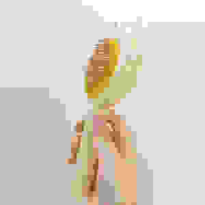 
Cat Comb Dog Hair Comb Appliance Pet One-click Removal Hair Needle Comb Cleaning Beauty Hair Removal Comb Pet Supplies