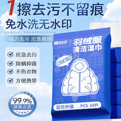 Down Jacket Cleaning Wipes, No-Rinse Stain Remover, Clothes Cleaning Dry Cleaning Agent, Clothing Stain Cleaner, Wet Wipes