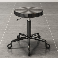 Stainless Steel Beauty Salon Special Stool, Hairdressing Stool, Barber Shop Large Work Stool, Pulley Lift Chair, Manicure Stool, Makeup Stool
