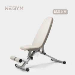 Wegym Fitness Bench, Fitness Chair, Multi-Functional Dumbbell Bench, Professional Bench Press, Sit-Ups Training, Adjustable and Foldable