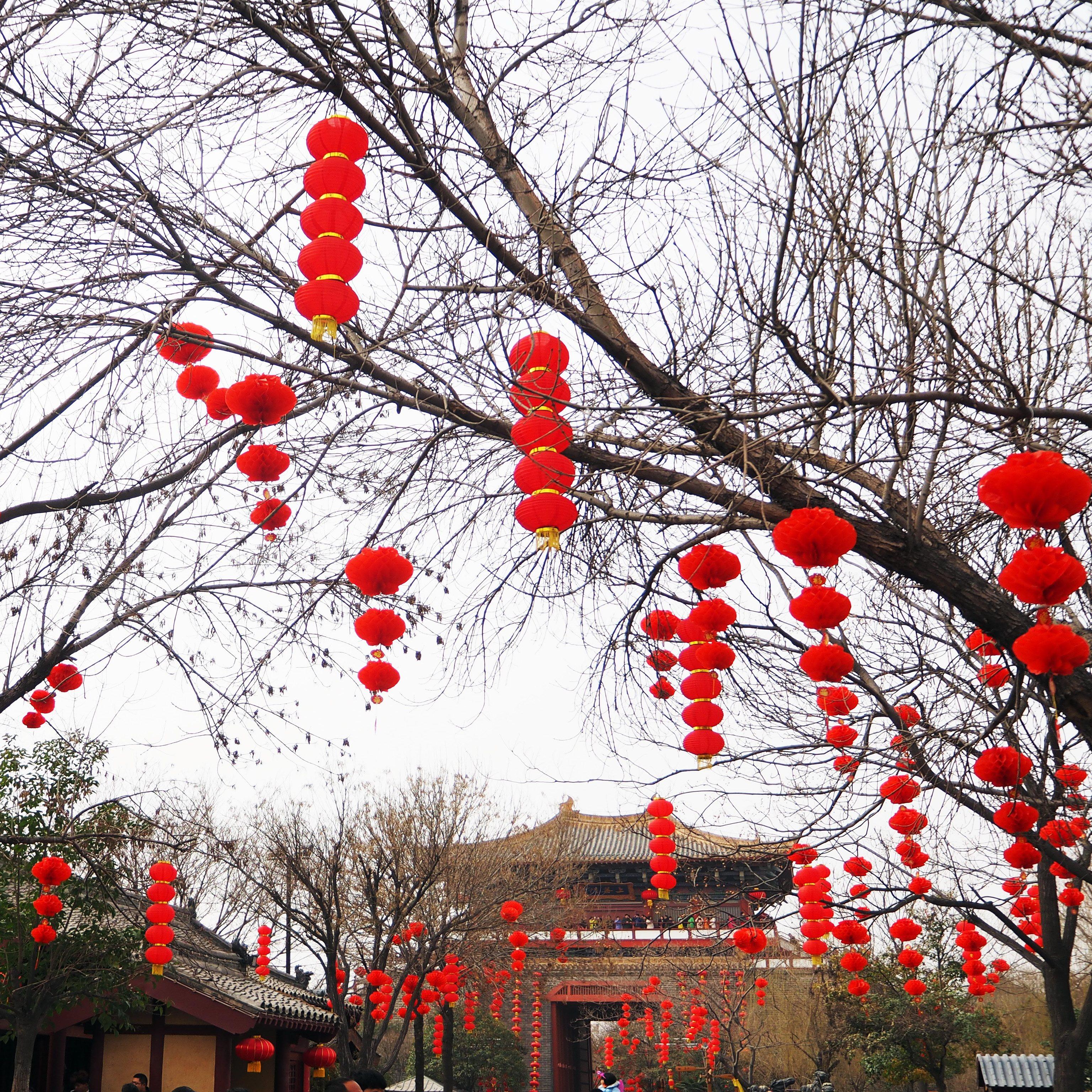 开封清明上河园1日游 | 包公祠/开封府可选 真纯玩 赠送讲解耳机