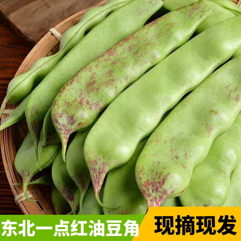 中国油豆角5kg 旱黄瓜3kg（正宗東北老品種紫花油豆角）長野県産 信州