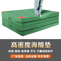 Acrobatic Sports Training Mat, High Jump Sponge Mat, Foldable and Thickened, Martial Arts, Dance Practice, Rock Climbing, Gymnastics Protective Mat