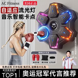 Smart Music Boxing Machine for Adults and Children, Home Fitness Music Wall Target for Boxing Practice, Martial Arts Training Equipment