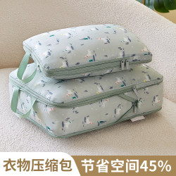 Travel Storage Bag, Suitcase, Clothing Compression Storage Bag, Business Trip Underwear Packing Bag, Organizer Bag, Travel Set
