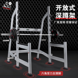 Free Squat Rack Open Frame Professional Barbell Bench Press Rack Commercial Integrated Weightlifting Home Gantry Rack Gym