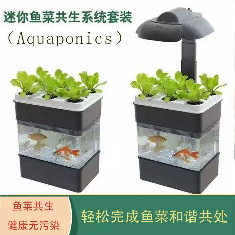 陽臺魚菜共生系統設備無土栽培魚缸種植箱魚池種9527 1菜種花循環 Taobao