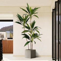 Simulated Green Plant Velvet Indoor Living Room Floor Decoration Fake Plant Potted Tv Cabinet Large Artificial Ornament Tree