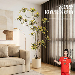 Artificial Green Plant with Golden Edges, Lily Bamboo, High-End Luxury Faux Flower Plant for Indoor Living Room Sofa Decoration
