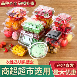 Disposable Plastic Fruit Box, Take-Out Fresh-Keeping Packaging Box, Fruit and Vegetable Strawberry Grape Watermelon Box, Transparent Fruit Box with Lid