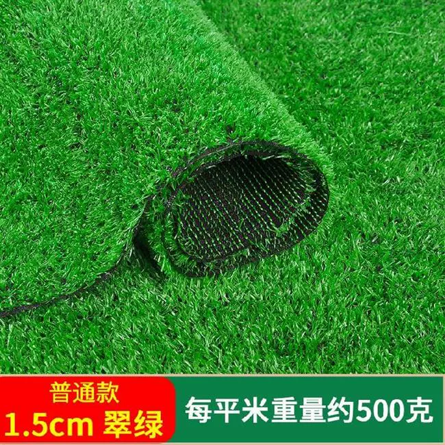 幼儿园草垫公园客厅地面婚庆露营室内e人造绿色地毯别墅门垫