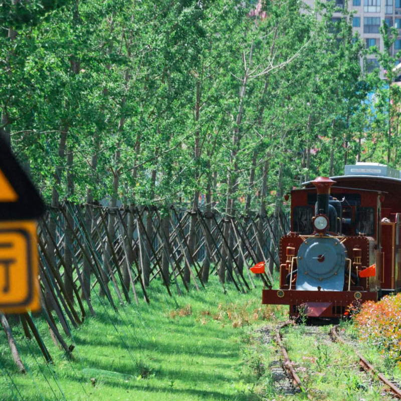 嘉兴南湖/南湖革命纪念馆/银杏天鹅湖/嘉兴文化艺术中心 一日游