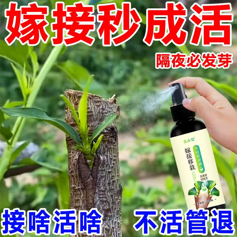 农用小苏打粉除虫杀菌增产增收花卉绿植蔬菜果树果蔬病虫害防治病 