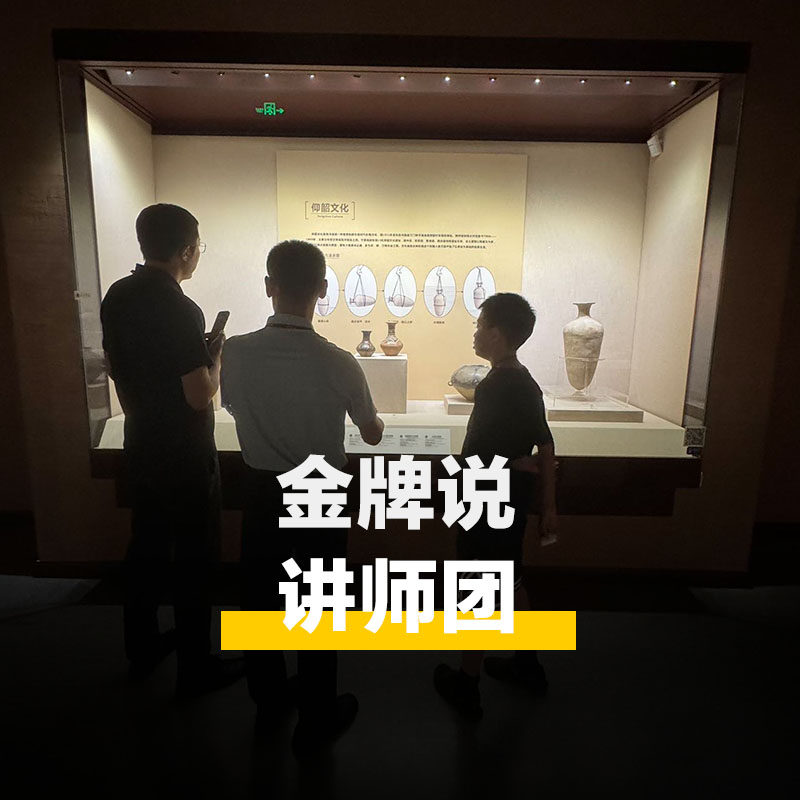 金牌说●宁夏博物馆讲解2.5H金牌导游大咖精讲真人讲解小包团精讲