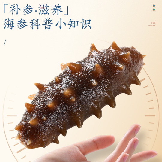 ナマコ (海参） Trt 冷凍海参 1000g - 大連産