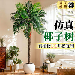 Large High-End Luxury Artificial Coconut Tree, Faux Green Plant for Living Room, Realistic Palm Tree Landscaping