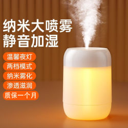 [Dolphin Watching the Sea] USB Mini Humidifier Nano Large Mist Output Home Desktop Night Light