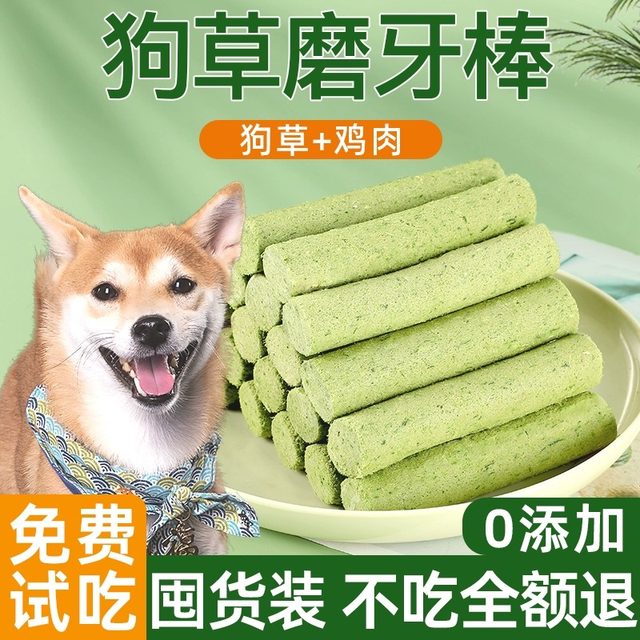 Thumbnail for Benefits Of Dried Grass For Dogs Oral Health
