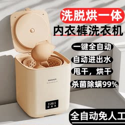 Mini Portable Automatic Folding Washing and Drying Machine for Underwear, Socks, and Other Small Items