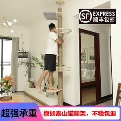Tongtianzhu Cat Climbing Frame Does Not Take up Space, Cat House, Cat Tree, Integrated Cat Scratching Post, Floor-To-Ceiling Cat Frame, Cat House, Hemp Rope, Solid Wood