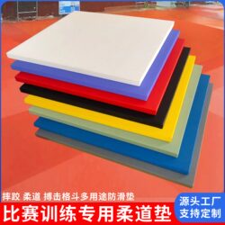 Judo Mat, Martial Arts, Sanda, Fighting, Tatami, Compressed Sponge, Competition Training Mat, Wrestling Mat, Jujitsu Mat