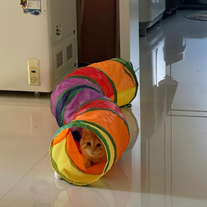 Cat Rainbow Tunnel Puppet Toy Maze Drilling Hole Self-Happiness Foldable Splicing Nest Four Seasons Universal Pet Supplies