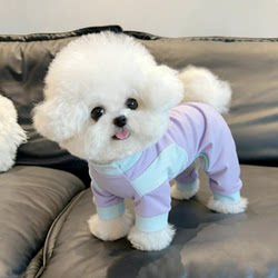 Summer Pet Clothes, Four-Legged Clothing for Dogs, Anti-Shedding, Cool Clothing, Thin and Breathable, for Small Dogs Like Bichon Frise, Teddy, and Cats