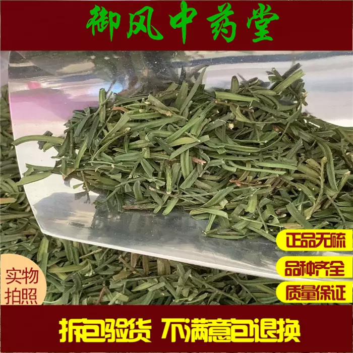 红豆杉叶中药材新货500克包邮天然纯货紫杉醇含量高 另售红豆杉果-Taobao