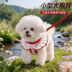 Small Dog Leash Vest-Style Small Dog Walking Leash Puppy Harness Pet Dog Harness Outdoor Dog Leash