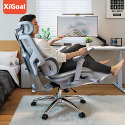 New Ergonomic Chair with Lumbar Support, Home Ergonomic Comfortable Chair for Long Sitting, Reclinable Office Chair