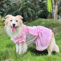 Large Dog Lace Princess Dress, Golden Retriever Wedding Dress, Expensive Clothing for Large Dogs, Summer Dress for Large Dogs, Alaskan Dress