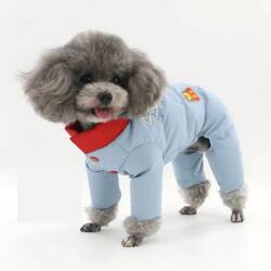 Autumn and Winter Windproof and Cold-Proof Clothes for Small Dogs, Pet Cotton Clothes, Winter Clothing, Warm Clothes for Puppies, Teddy, Cats, Two-Legged and Four-Legged