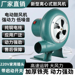 Small Adjustable-Speed 220V Stove Blower, Household Fire-Starting Fan, Powerful Centrifugal Carbon-Fueled Fan