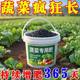 Vegetable fertilizer nutrition solution special organic fertilizer household balcony fruits, vegetables, melons, and vegetables potted vegetables general flower fertilizer
