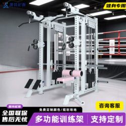 Smith Comprehensive Training Equipment Multifunctional Small Bird Machine Gantry Integrated Machine Gym Commercial High Pull-Down Machine