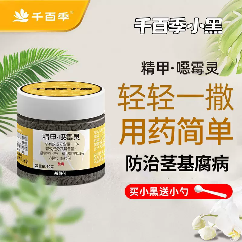 原色花卉病害虫百科 6 千百季小黑精甲恶霉灵杀菌剂防治黑腐病根腐病茎基腐病家用花卉