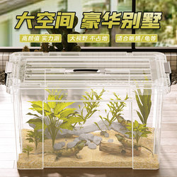 Reptile Breeding Box, Lizard and Crocodile Breeding Tank, Hamster, Alligator Turtle, Snake Special Tank, Beetle Breeding Box, Turtle Breeding Tank