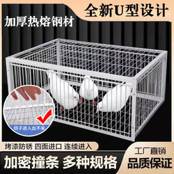 Fully Automatic Bird Trap Cage with Automatic Door for Catching Pigeons and Birds, Enhanced Version with Rust-Proof Mesh