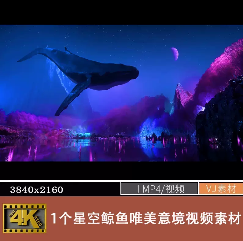4K星空鲸鱼唯美意景沉浸式包厢KTV酒吧LED大屏幕Vj视频