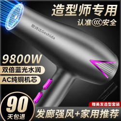 Hair Salon-Specific Hair Dryer for Home Use, High-Power Negative Ion Hair Care Hot and Cold Air Dryer for Quick Hair Drying
