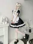 cosplay hầu gái anime Gấu sữa và Mèo sữa: Trang phục hầu gái COS gợi cảm, váy ngắn, váy nữ tu, trang phục hầu gái kích thước lớn với ham muốn thuần khiết hầu gái anime sexy bộ cosolay cô hầu gái quyến rũ 