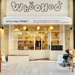 Milk Tea and Coffee Shop Storefront Retractable Awning Hand-Cranked Retractable Outdoor Sunshade Folding Canopy Electric