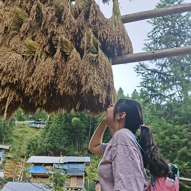 贵州贵阳旅游纯玩5日游纯玩小团自由行黄小西+镇远梵净山亲子游