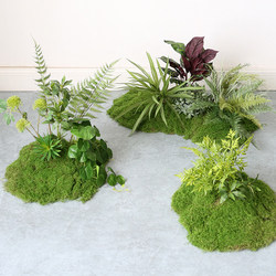 Artificial Green Plant Landscaping Set for Indoor Living Room, High-End Moss Micro-Landscape Arrangement, Corner Plant Floor Decoration