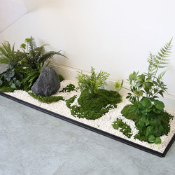 Simple Simulated Green Plant Landscaping, Interior Soft Decoration with Flower Troughs, Fake Moss Arrangement, Window Display Micro-Landscape Decoration