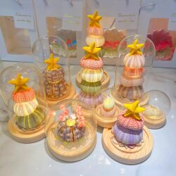 Sea urchin shell night light diy handmade activity gift