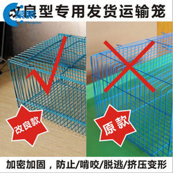 Parrot Transport Cage, Squirrel Baby Bird Training Cage, Free Shipping, Rabbit Portable Travel Carrier Small Iron Cage
